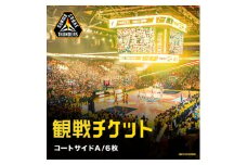 群馬クレインサンダーズ 2024-25シーズン 観戦チケット コートサイドA 6枚【1541502】