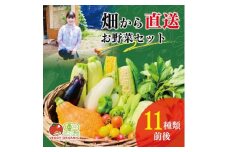 新鮮さ抜群 季節の味を楽しむ有機JAS認証 野菜詰め合わせ(11種類前後)オーガニック【1612762】
