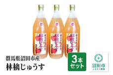 群馬県沼田市産 林檎じゅうす1000ml（リンゴジュース）3本セット