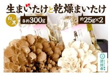 生まいたけ（白・黒）各約300g＋乾燥まいたけ25g×2個セット おいがみ舞茸園