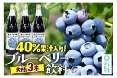 40％果汁入り ブルーベリー飲料 720ml×3本セット