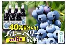 40％果汁入り ブルーベリー飲料 720ml×6本セット