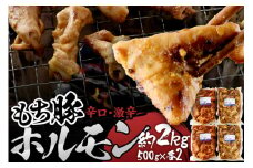 群馬県産もち豚ホルモン 辛口・激辛セット 約2kg（500g×2種各2）群馬県 特産品