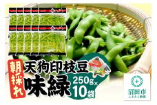 厳選 天狗印枝豆「味緑（みりょく）」約2.5kg