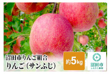 《12月上旬以降発送》沼田市りんご組合 りんご（サンふじ）約5kg 群馬県沼田市