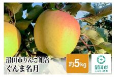沼田市りんご組合 りんご（ぐんま名月）約5kg 群馬県沼田市
