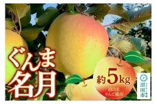 《11月中旬～12月上旬発送》沼田市りんご組合 りんご（ぐんま名月）約5kg 群馬県沼田市
