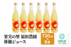 果実の里 原田農園 林檎ジュース 720ml×6本 りんごジュース ストレート100％果汁