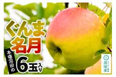 《11月中旬以降発送》先行予約 果実の里 原田農園 ぐんま名月 1箱 6玉入り