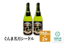 ぐんま名月シードル 750ml×2本