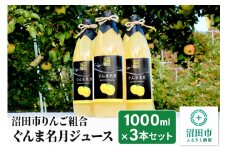 《2025年1月中旬以降発送》沼田市りんご組合 ぐんま名月ジュース（ストレート）1000ml×3本セット
