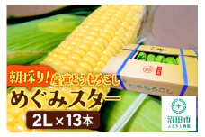 《8月上旬～下旬発送》朝採りとうもろこし めぐみスター 2Lサイズ13本【群馬県沼田市利根町産】