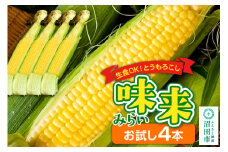 とうもろこし 味来 お試しセット（4本）山口いちご園