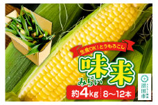 とうもろこし 味来 約4kg（8～12本）山口いちご園