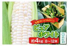とうもろこし ピュアホワイト 約4kg（8～12本）山口いちご園