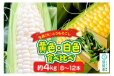 《7月下旬～9月中旬発送》とうもろこし 味来・ピュアホワイト 約4kg（8～12本／おおむね半分ずつ）
