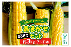 《7月下旬～9月中旬発送》【訳あり】とうもろこし おまかせセット約3kg（7～11本／品種の本数おまかせ）