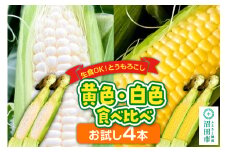 《7月下旬～9月中旬発送》とうもろこし 味来・ピュアホワイト お試しセット（各2本／合計4本）
