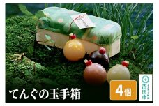 てんぐの玉手箱 4個入り（いちご・りんご・ブルーベリー・みかん）各1種×1個