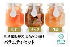 奥利根坂井のはちみつ漬けバラエティセット 柚子・生姜・ナッツ 坂井養蜂場