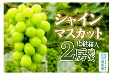《9月中旬以降発送》先行予約 果実の里 原田農園 シャインマスカット 2房（約1.4kg～1.6kg）化粧箱入り