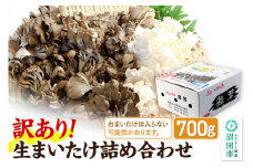 【訳あり】おいがみ舞茸園 生まいたけ詰め合わせ