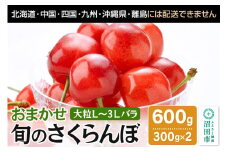 《一部地域限定発送》《6月中旬～下旬発送》おまかせ 旬のさくらんぼ 大粒L～3Lバラ詰め 600g（300g×2）