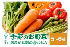 季節のお野菜 おまかせセット A（5～6種類）詰め合わせ