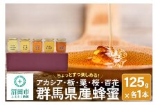 群馬県産はちみつ 125g 5本セット 【アカシア 栃 栗 桜 百花】