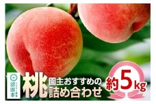 園主おすすめの桃 約5kg 詰め合わせ フルーツ王国松井