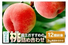 園主おすすめの桃 3kg箱 詰め合わせ フルーツ王国松井