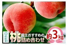 園主おすすめの桃 約3kg 詰め合わせ フルーツ王国松井