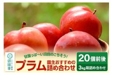 園主おすすめのプラム 3kg箱 詰め合わせ フルーツ王国松井