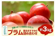 園主おすすめのプラム 約3kg 詰め合わせ フルーツ王国松井