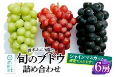 《9月上旬～下旬発送》青木ぶどう園の旬のブドウ詰め合わせ 6房