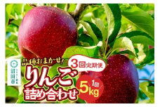 《10月上旬～開始》定期便 品種おまかせ りんご詰め合わせ 1種5kg×3回 真田りんご園