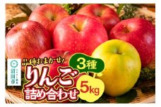 《10月中旬～11月下旬発送》品種おまかせ りんご詰め合わせ 3種 5kg 真田りんご園