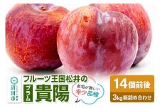 《8月上旬～8月中旬発送》高級プラム「貴陽」3kg箱 フルーツ王国松井