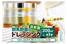 自家製・群馬産野菜で手作りドレッシング（くるみ、山わさび、青じそ、にんじん、えごま）200ml×各1本 泙川食品