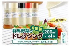 自家製・群馬産野菜で手作りドレッシング（くるみ、みそごま、シーザー、玉ねぎ、えごま）200ml×各1本 泙川食品