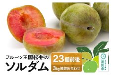 プラム「ソルダム」3kg箱 フルーツ王国松井