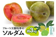 プラム「ソルダム」約3kg フルーツ王国松井