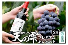 赤ワイン「天の雫」1本とプレミアムぶどう2房セット ゆたかぶどう園