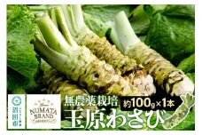 ぬまたブランド農産物 玉原わさび 生ワサビ 1本 宮田農園