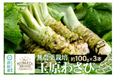ぬまたブランド農産物 玉原わさび 生ワサビ 3本 宮田農園