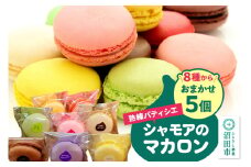 シャモアのマカロン おまかせ 5個入 詰め合わせセット（オレンジ・コーヒー・ラズベリー・抹茶・バニラ等8種の中から5種）