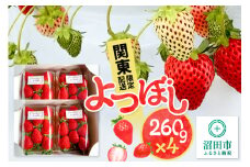 《関東限定配送》イチゴ よつぼし 約260gパック×4