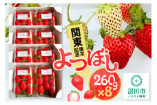《関東限定配送》イチゴ よつぼし 約260gパック×8