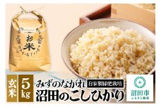 令和7年産 新米予約 沼田のこしひかり「みずのながれ」玄米 5kg