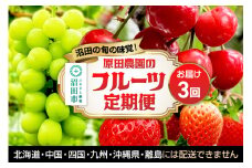 《一部地域限定配送》3回お届け！原田農園のフルーツ定期便 シャインマスカット→いちご→さくらんぼ
